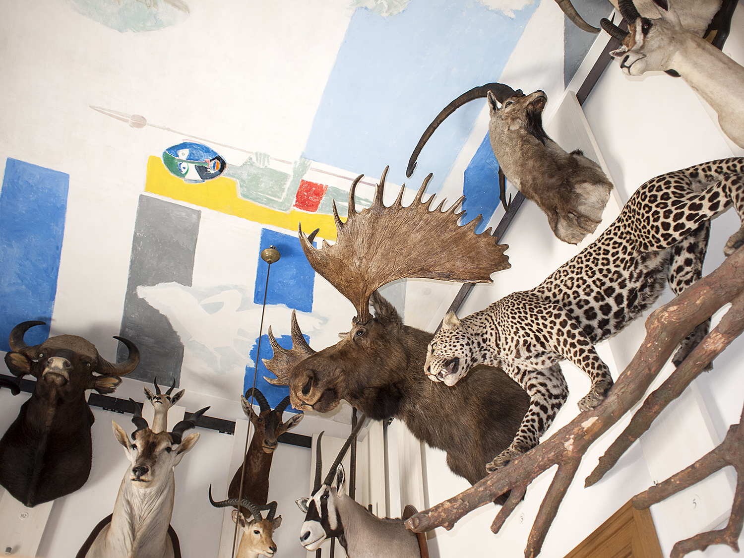Expo Eva Jospin Musée De La Chasse The Musée de la Chasse et de la Nature, Paris - purple DIARY