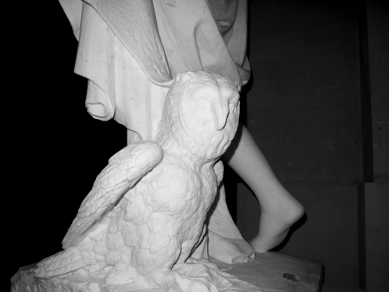 The scary owl at the foot of the allegory of the night... purple NIGHT