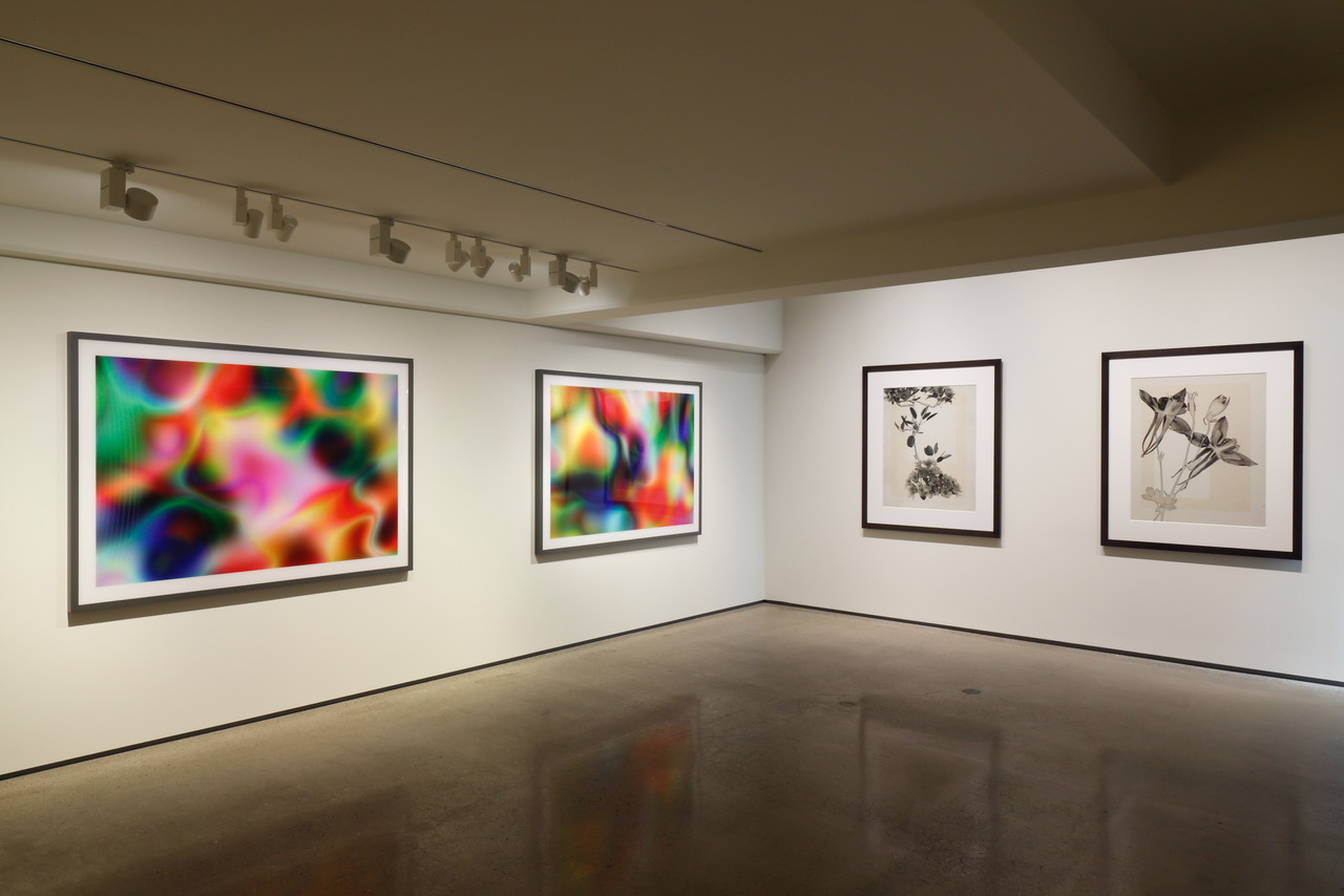 Thomas Ruff Gallery Thomas Ruff’s Two of Each solo exhibition at Gallery Koyanagi in Tokyo ...